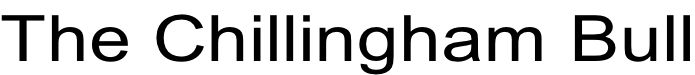 The Chillingham Bull
